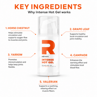 Infographic van RÉVVI Intense Hot Gel met de 100 ml verpakking centraal, omringd door vijf belangrijkste ingrediënten — horse chestnut, grape leaf, yarrow, camphor en valerian — met per ingrediënt een korte uitleg van de werking.